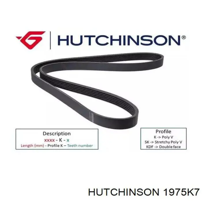 Pas napędowy mechanizmów Hutchinson 1975K7 cena, od 23,32 USD