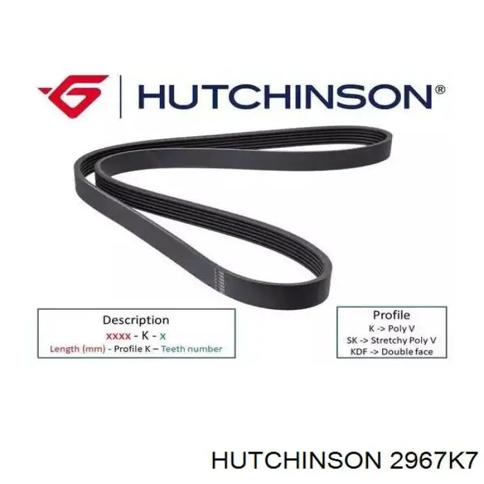 Do koszyka 7PK3170HD Dayco Pas napędowy mechanizmów