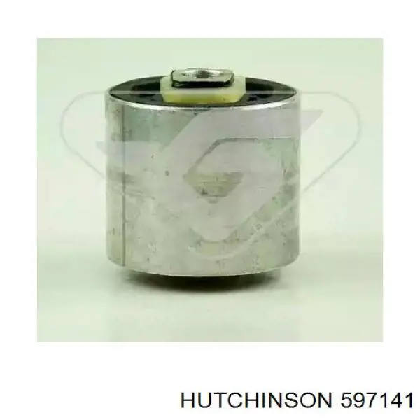 Silentblock przedniego wahacza dolnego Hutchinson 597141 cena, od 16,40 USD