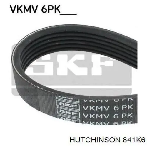 Pas napędowy mechanizmów 841K6 Hutchinson