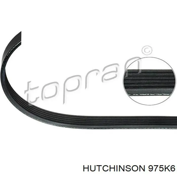 Pas napędowy mechanizmów Hutchinson 975K6 cena, od 11,71 USD