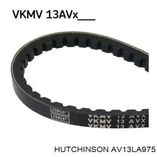 Pas napędowy mechanizmów AV13LA975 Hutchinson