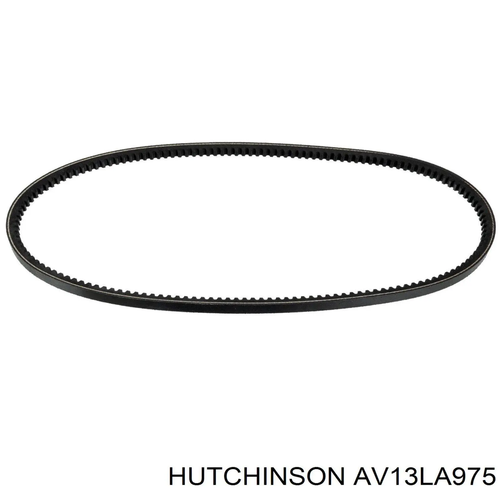 AV13LA975 Hutchinson Pas napędowy mechanizmów