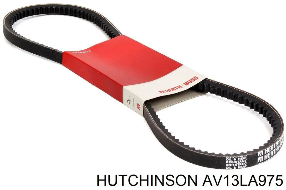 Do koszyka AV13LA975 Hutchinson Pas napędowy mechanizmów