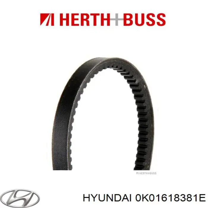 Pas napędowy mechanizmów 0K01618381E Hyundai/Kia