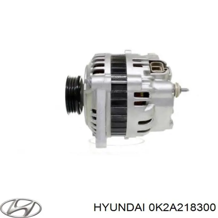 Do koszyka 0K2A218300 Hyundai/Kia Alternator