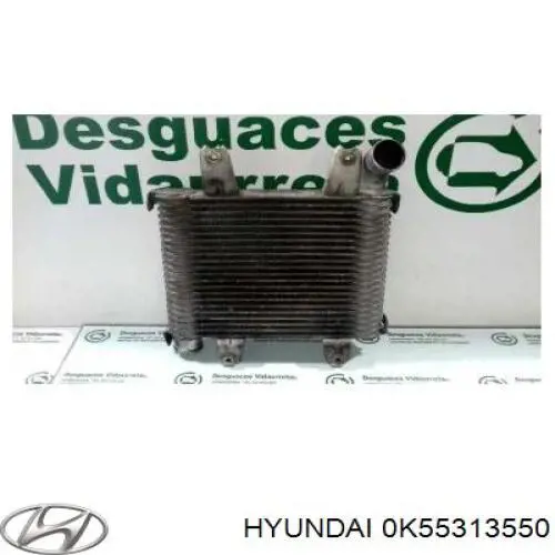 Chłodnica intercoolera KIA Carnival II minivan (GQ) (2001 - 2005) cena, od 77,92 USD