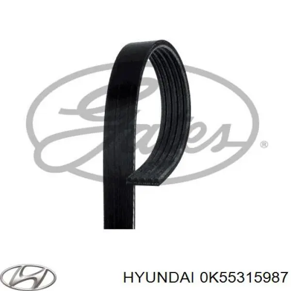 Do koszyka 0K55315987 Hyundai/Kia Pas napędowy mechanizmów