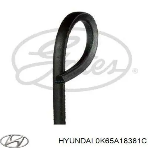 Do koszyka 0K65A18381C Hyundai/Kia Pas napędowy mechanizmów