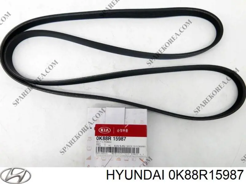 Do koszyka 0K88R15987 Hyundai/Kia Pas napędowy mechanizmów