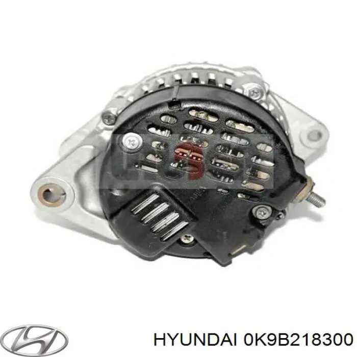 Do koszyka 0K9B218300 Hyundai/Kia Alternator
