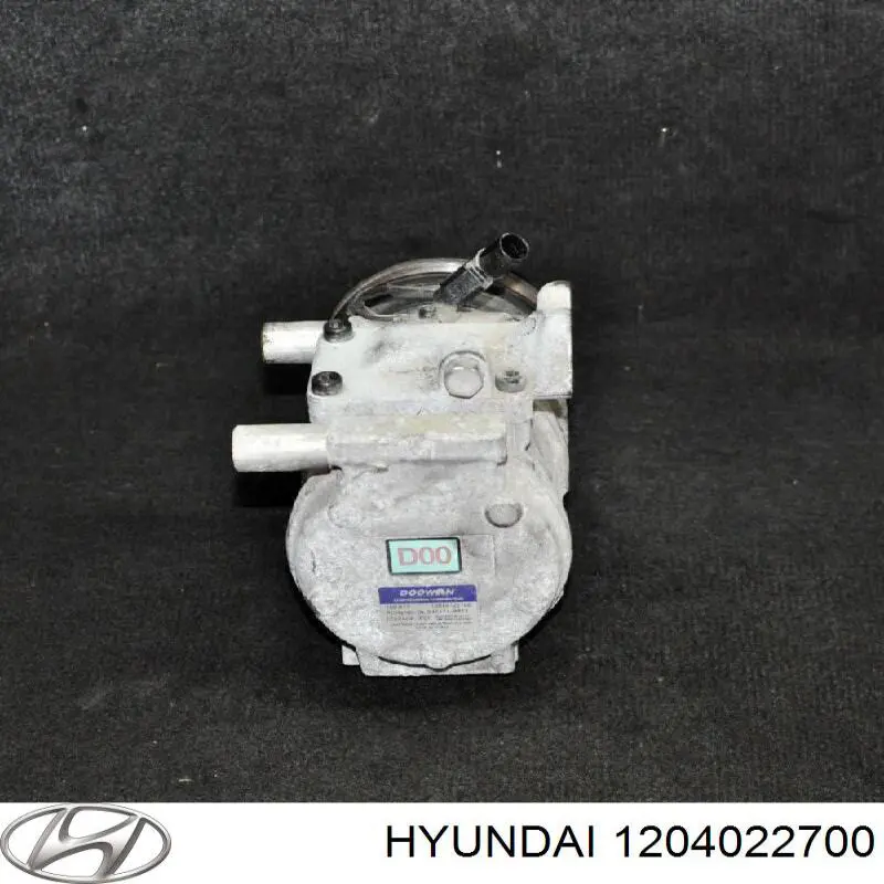 Do koszyka 1204022700 Hyundai/Kia Sprężarka klimatyzacji