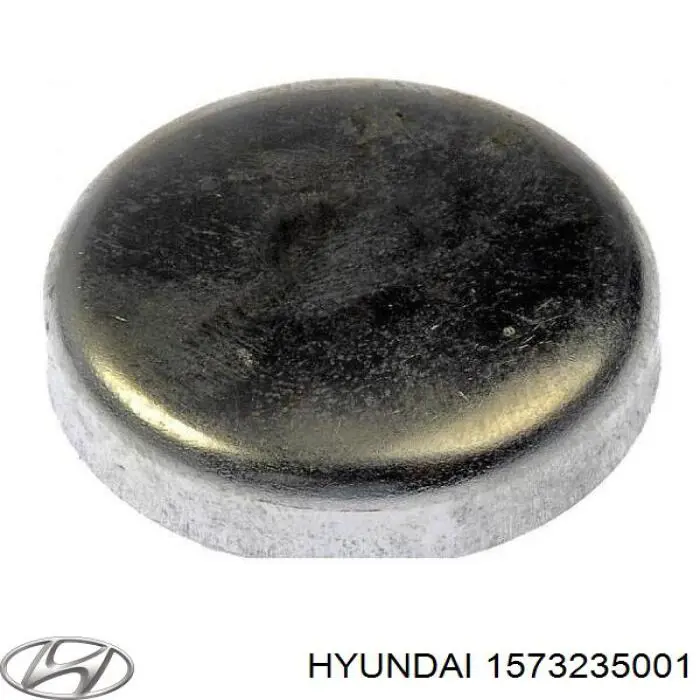 1573235001 Hyundai/Kia Zaślepka głowicy cylindrów/bloku cylindrów