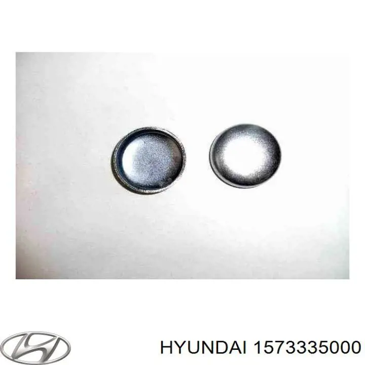 Zaślepka głowicy cylindrów/bloku cylindrów Hyundai/Kia 1573335000 cena, od 4,54 USD