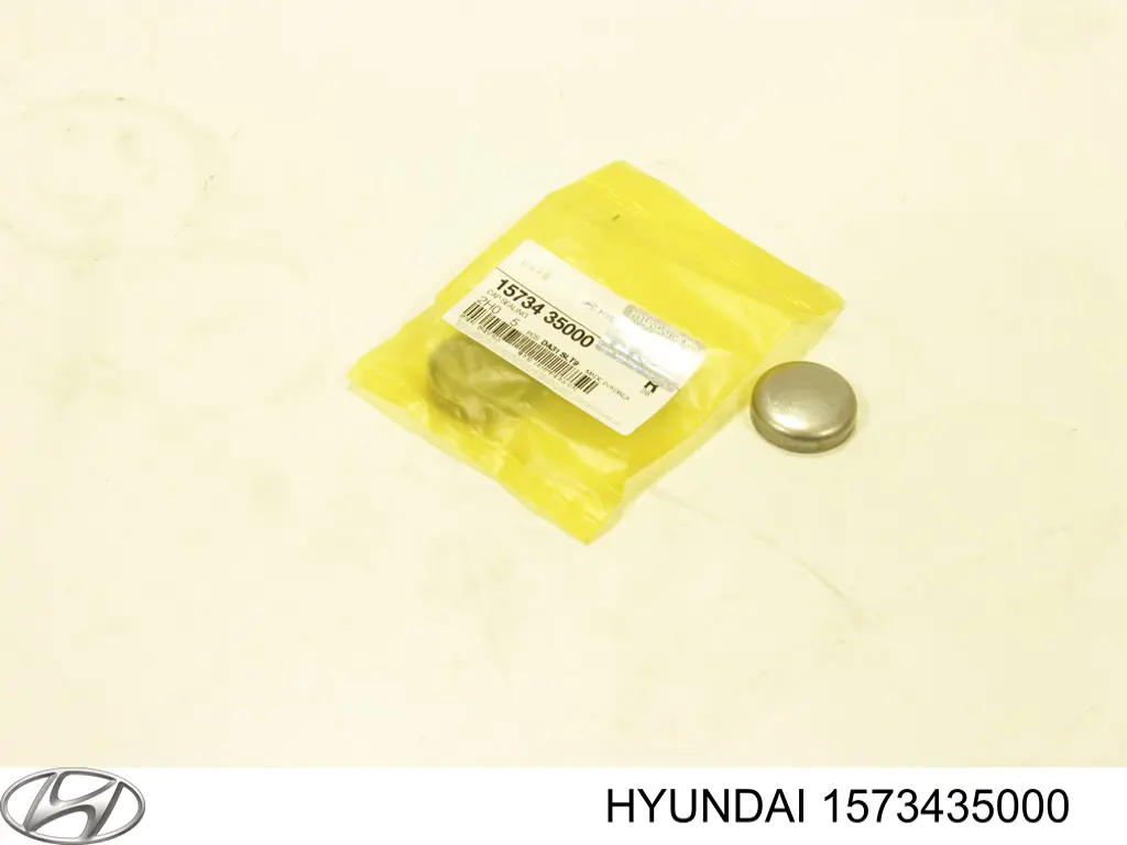 1573435000 Hyundai/Kia zaślepka głowicy cylindrów/bloku cylindrów