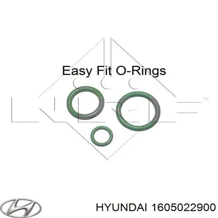 Sprężarka klimatyzacji Hyundai/Kia 1605022900 cena, od 105,56 USD