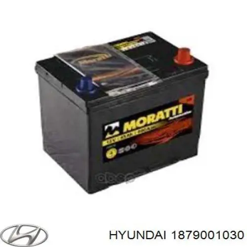 1879001030 Hyundai/Kia Bezpiecznik