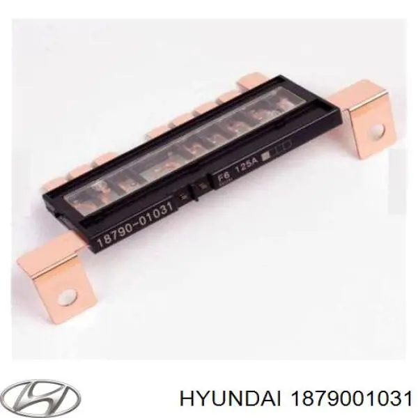 Bezpiecznik Hyundai/Kia 1879001031 cena, od 14,85 USD