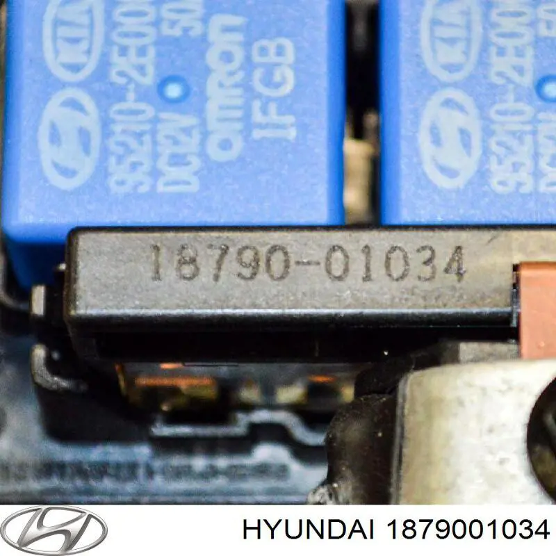 Do koszyka 1879001034 Hyundai/Kia Bezpiecznik