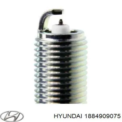 Do koszyka 1884909075 Hyundai/Kia Świeca zapłonowa