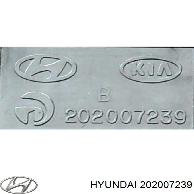 202007239 Hyundai/Kia 