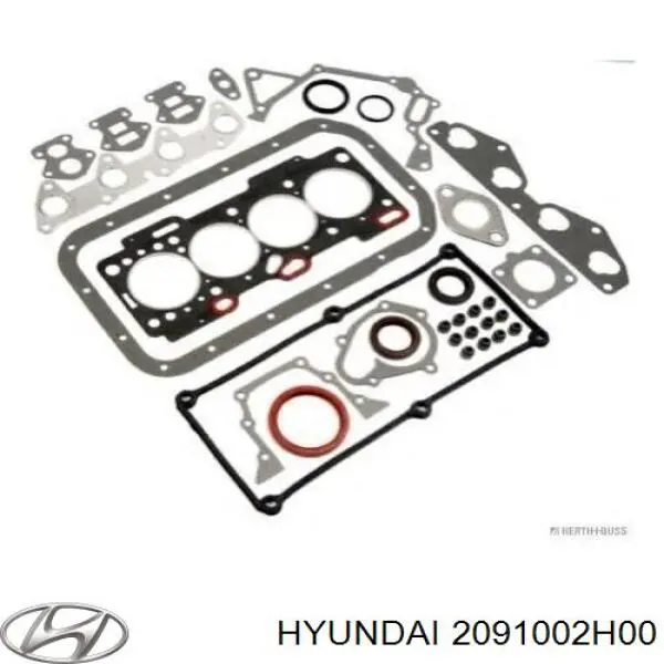 Do koszyka 2091002H00 Hyundai/Kia Zestaw uszczelek silnika pełny