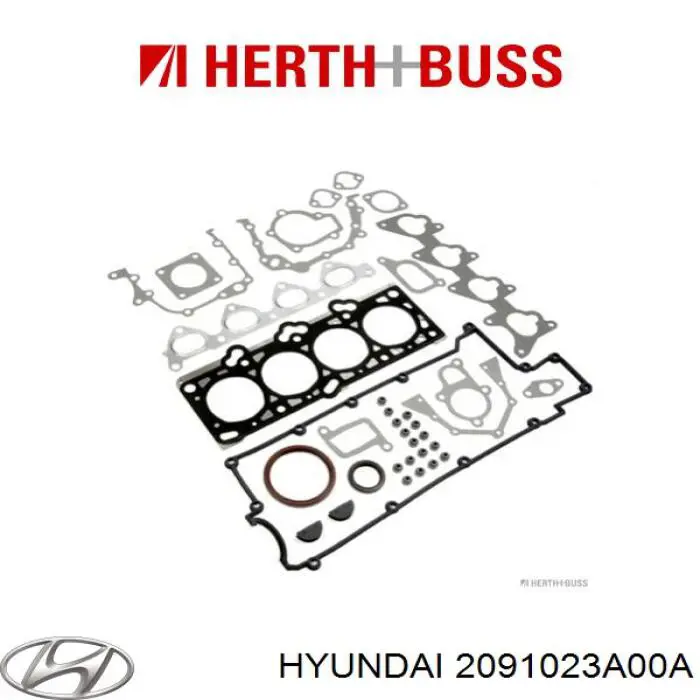 2091023A00A Hyundai/Kia Zestaw uszczelek silnika pełny