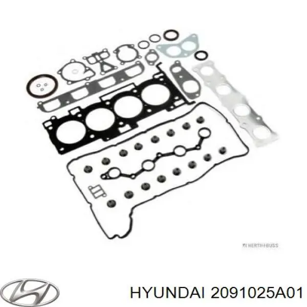 2091025A01 Hyundai/Kia Zestaw uszczelek silnika pełny