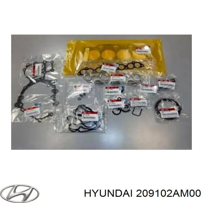 Zestaw uszczelek silnika pełny Hyundai/Kia 209102AM00 cena, od 98,93 USD