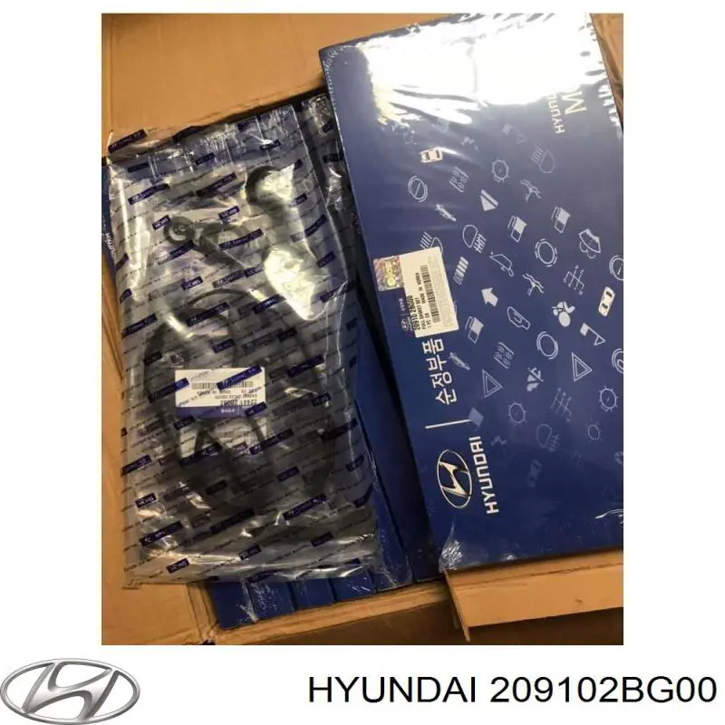 Zestaw uszczelek silnika pełny Hyundai/Kia 209102BG00 cena, od 59,40 USD