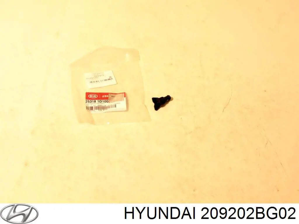 Zestaw uszczelek silnika górny Hyundai/Kia 209202BG02 cena, od 116,05 USD