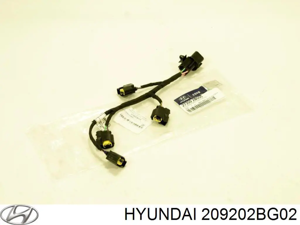 209202BG02 Hyundai/Kia Zestaw uszczelek silnika górny