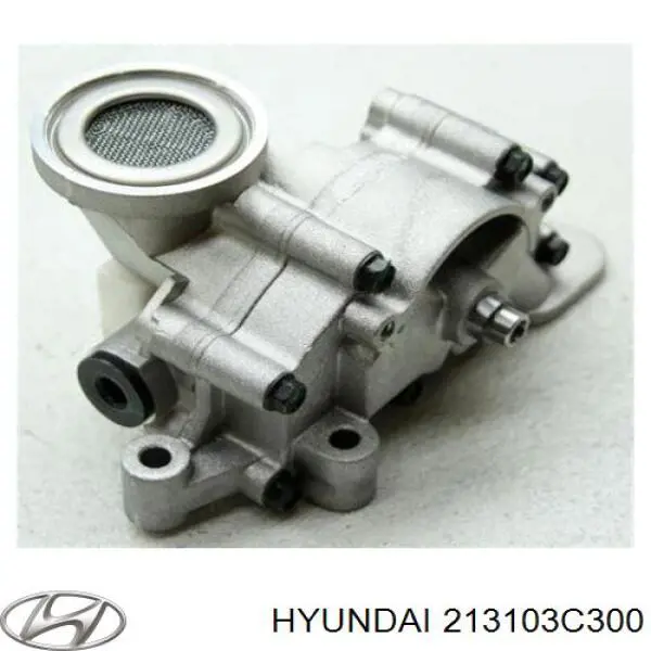 213103C300 Hyundai/Kia Pompa oleju