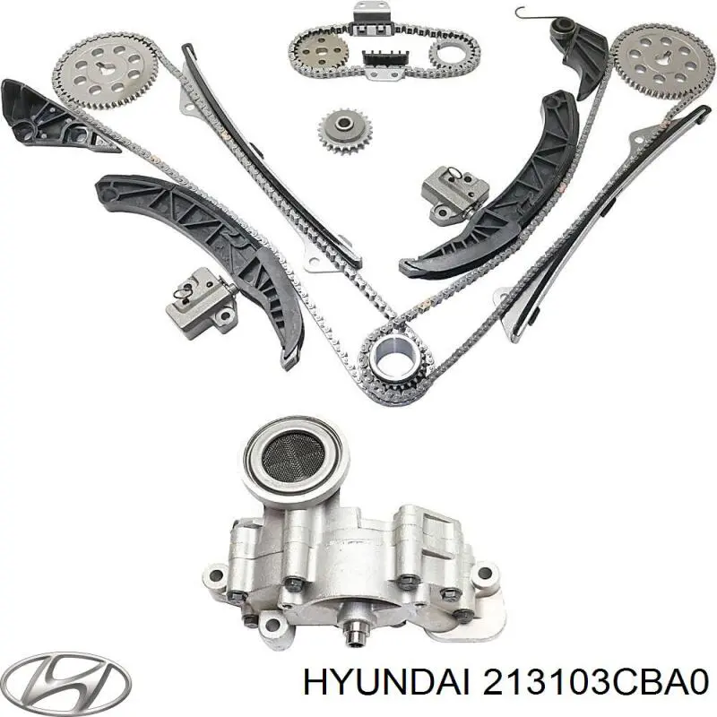 Do koszyka 213103CBA0 Hyundai/Kia Pompa oleju