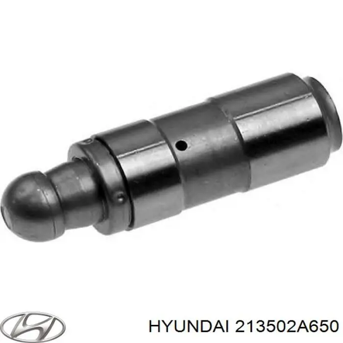 Do koszyka 213502A650 Hyundai/Kia Pompa oleju