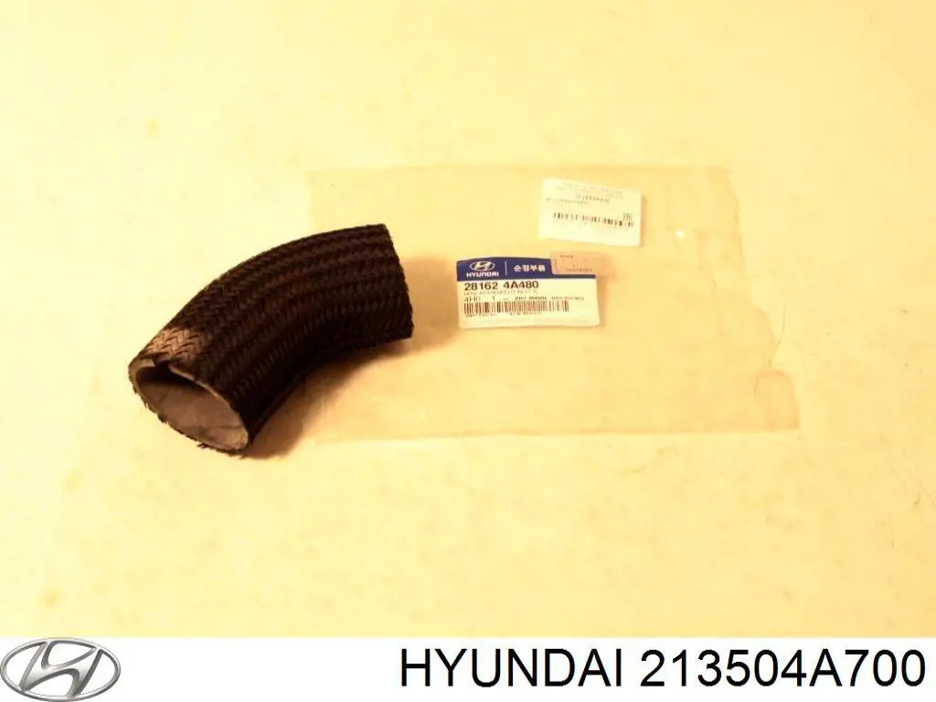 213504A700 Hyundai/Kia Pokrywa silnika przednia