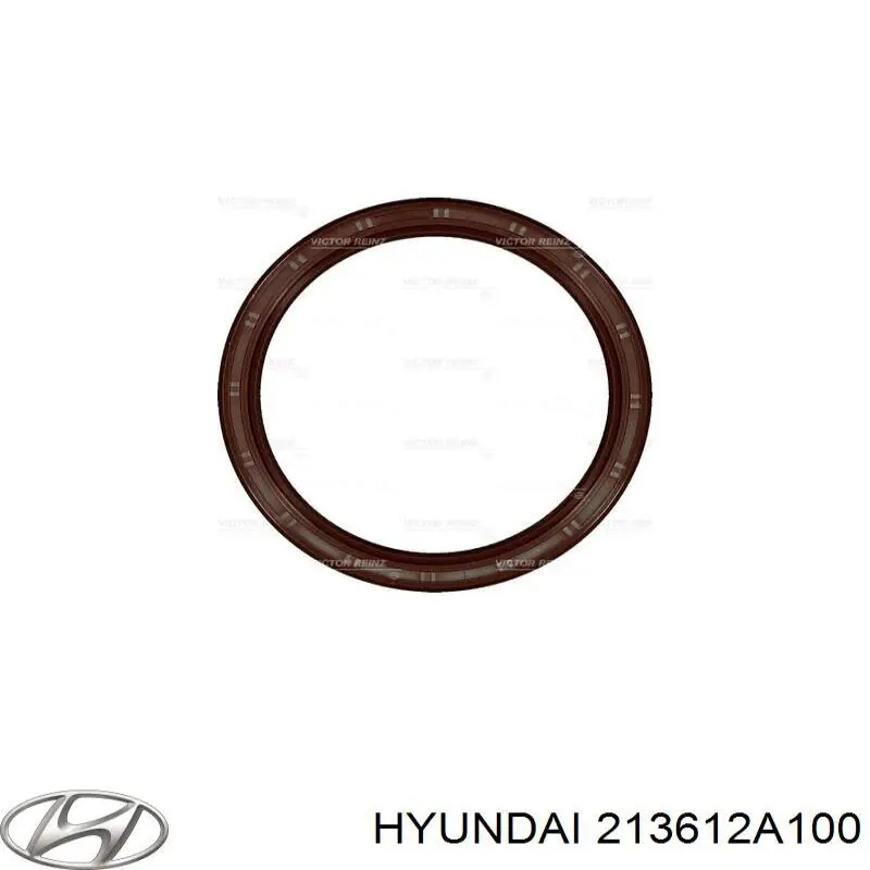 Uszczelniacz wału korbowego przedni Hyundai/Kia 213612A100 cena, od 3,96 USD