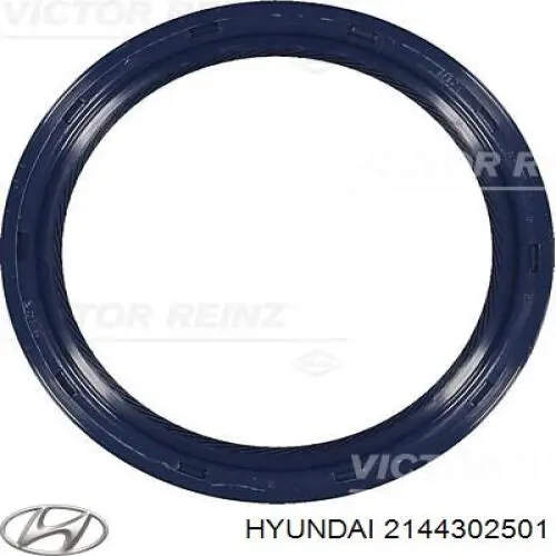 Uszczelniacz wału korbowego silnika tylny Hyundai/Kia 2144302501 cena, od 7,71 USD
