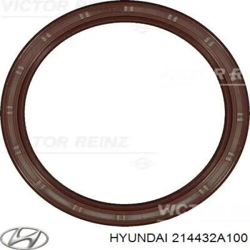 214432A100 Hyundai/Kia Uszczelniacz wału korbowego silnika tylny