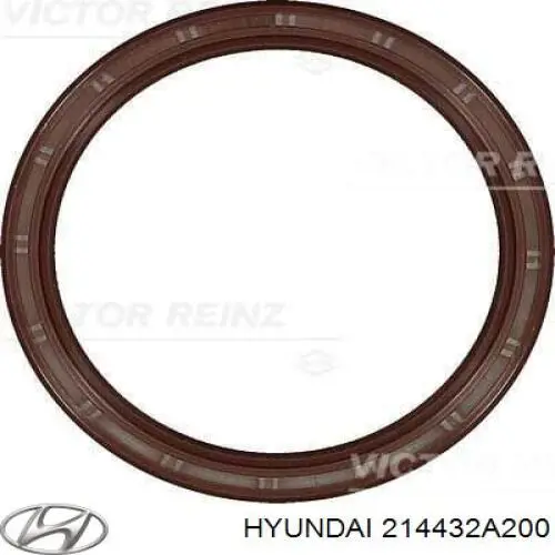 214432A200 Hyundai/Kia Uszczelniacz wału korbowego silnika tylny