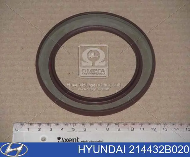 Do koszyka 214432B020 Hyundai/Kia Uszczelniacz wału korbowego silnika tylny