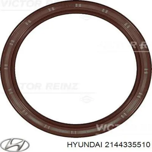 Do koszyka 2144335510 Hyundai/Kia Uszczelniacz wału korbowego silnika tylny