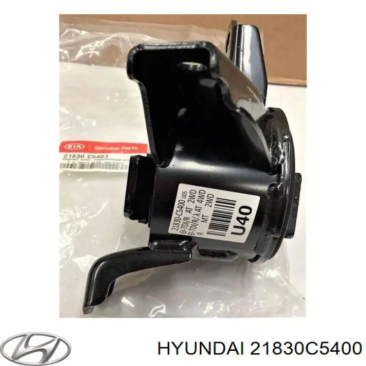 Do koszyka Poduszka (podpora) silnika lewa KIA Sorento III C5, UM