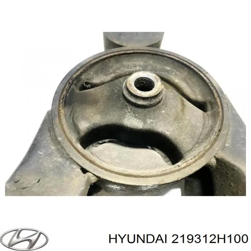 219312H100 Hyundai/Kia 