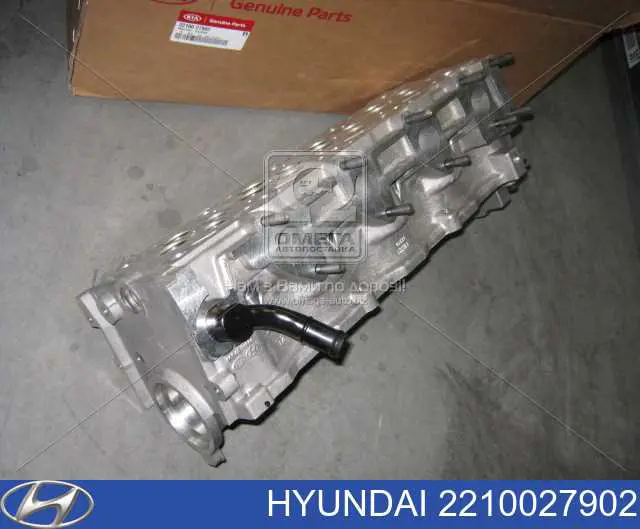 2210027902 Hyundai/Kia Głowica cylindrów