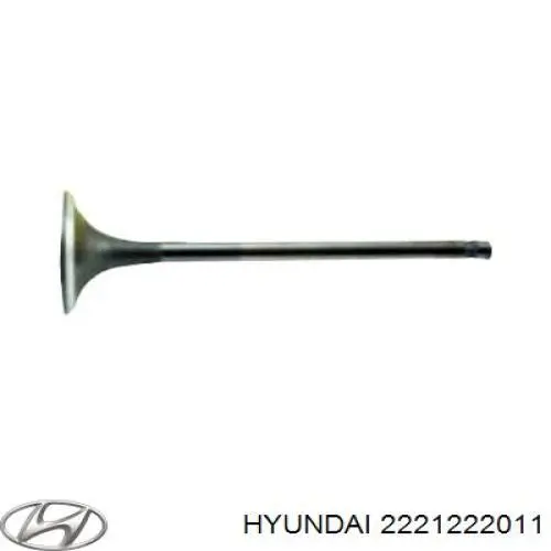 2221222011 Hyundai/Kia zawór wydechowy