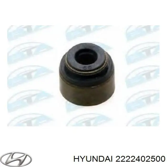 2222402500 Hyundai/Kia Uszczelniacz zaworu dolotowego/wylotowego