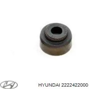 Uszczelniacz zaworu dolotowego/wylotowego Hyundai/Kia 2222422000 cena, od 1,67 USD