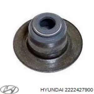 Do koszyka 2222427900 Hyundai/Kia Uszczelniacz zaworu dolotowego/wylotowego