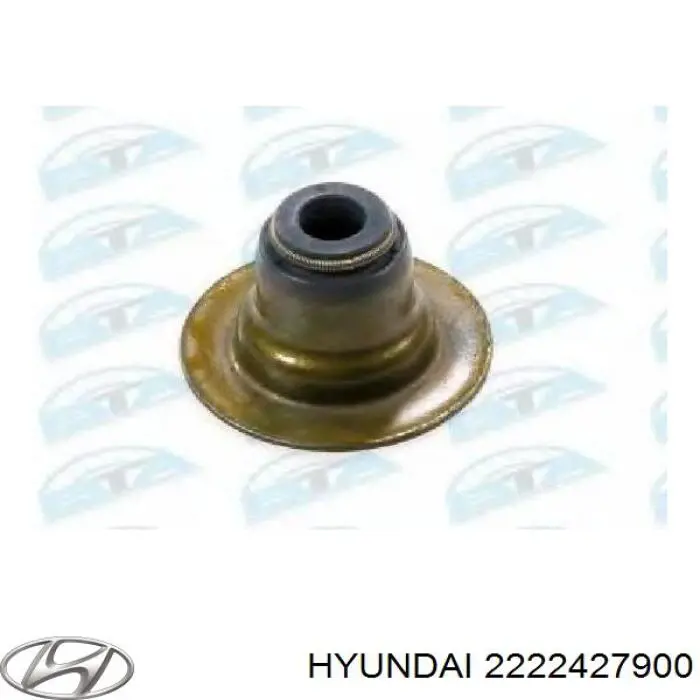 Uszczelniacz zaworu dolotowego/wylotowego Hyundai/Kia 2222427900